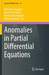 Produktbild: Anomalies in Partial Differential Equations