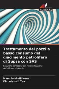 Produktbild: Trattamento dei pozzi a basso consumo del giacimento petrolifero di Supsa con SAS