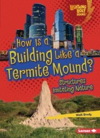 Produktbild: How Is a Building Like a Termite Mound?