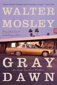 Produktbild: Gray Dawn