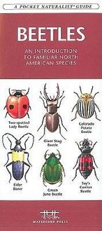 Produktbild: Beetles