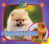 Produktbild: Pomeranian