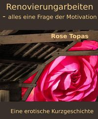 Produktbild: Renovierungsarbeiten - alles eine Frage der Motivation