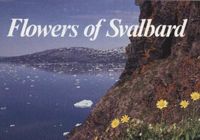 Produktbild: Flowers of Svalbard