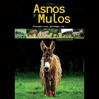 Produktbild: Asnos y mulos