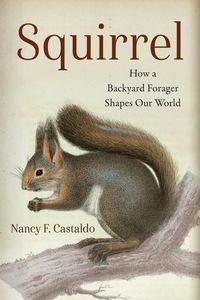 Produktbild: Squirrel