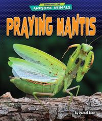 Produktbild: Praying Mantis