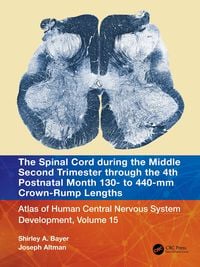 Produktbild: The Spinal Cord during the Middle Second Trimester through the 4th Postnatal Month 130- to 440-mm Crown-Rump Lengths
