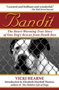 Produktbild: Bandit