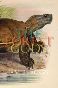 Produktbild: The Forest Gods