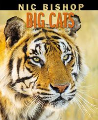 Produktbild: Nic Bishop Big Cats