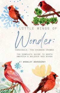 Produktbild: Little Wings of Wonder