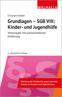 Produktbild: Grundlagen - SGB VIII: Kinder- und Jugendhilfe