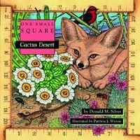 Produktbild: Cactus Desert