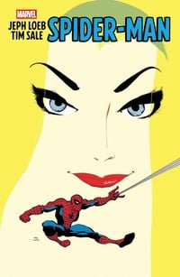 Produktbild: Jeph Loeb & Tim Sale: Spider-Man