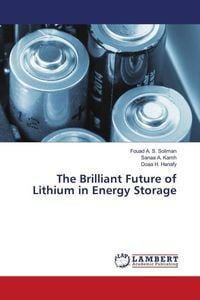 Produktbild: The Brilliant Future of Lithium in Energy Storage