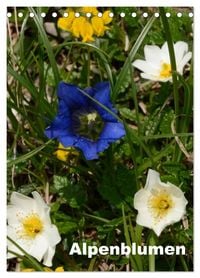 Produktbild: Alpenblumen (Tischkalender 2026 DIN A5 hoch), CALVENDO Monatskalender