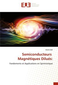 Produktbild: Semiconducteurs Magn&eacute;tiques Dilu&eacute;s: