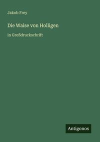 Produktbild: Die Waise von Holligen