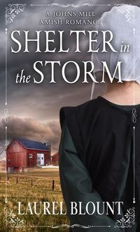 Produktbild: Shelter in the Storm