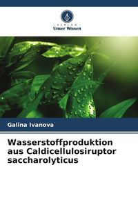Produktbild: Wasserstoffproduktion aus Caldicellulosiruptor saccharolyticus