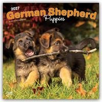 Produktbild: German Shepherd Puppies &ndash; Deutsche Sch&auml;ferhund Welpen 2027 &ndash; 16-Monatskalender