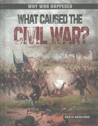 Produktbild: What Caused The Civil War