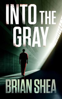 Produktbild: Into the Gray