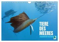 Bild vom Artikel Tiere des Meeres: Faszination Tauchen (Wandkalender 2024 DIN A4 quer), CALVENDO Monatskalender vom Autor Calvendo Calvendo
