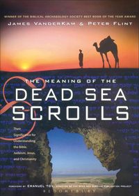 Produktbild: The Meaning of the Dead Sea Scrolls