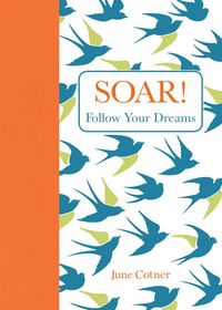 Produktbild: Soar!