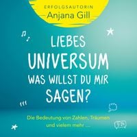 Produktbild: Liebes Universum, was willst du mir sagen?
