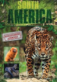 Produktbild: South America