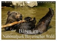 Produktbild: B&auml;ren im Nationalpark Bayerischer Wald (Wandkalender 2027 DIN A4 quer), CALVENDO Monatskalender