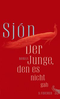 Produktbild: Der Junge, den es nicht gab