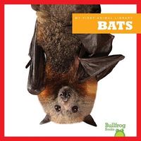 Produktbild: Bats