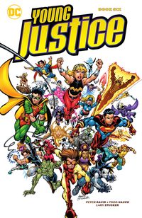 Produktbild: David, P: Young Justice Book Six