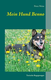 Produktbild: Mein Hund Benno