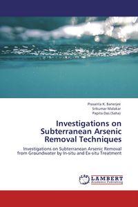 Produktbild: Investigations on Subterranean Arsenic Removal Techniques