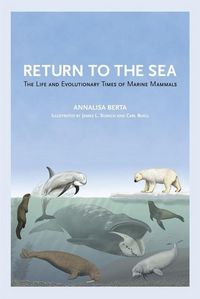 Produktbild: RETURN TO THE SEA