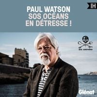 Produktbild: SOS oc&eacute;ans en d&eacute;tresse !