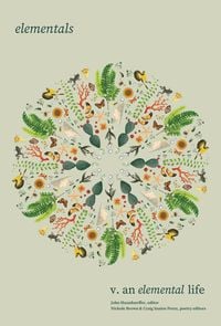 Produktbild: Elementals: An Elemental Life, Vol. 5