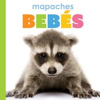 Produktbild: Mapaches Beb&eacute;s