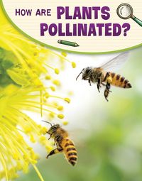 Produktbild: How Are Plants Pollinated?