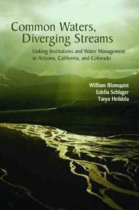 Produktbild: Blomquist, W: Common Waters, Diverging Streams