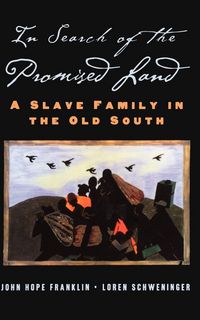 Produktbild: In Search of the Promised Land