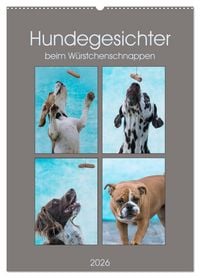 Produktbild: Hundegesichter beim W&uuml;rstchenschnappen (Wandkalender 2026 DIN A2 hoch), CALVENDO Monatskalender
