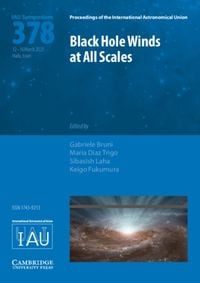 Produktbild: Black Hole Winds at All Scales (Iau S378)