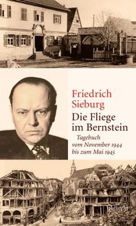 Produktbild: Die Fliege im Bernstein