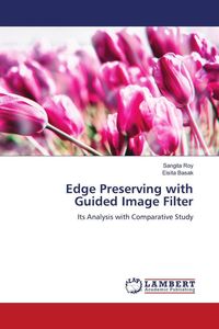 Produktbild: Edge Preserving with Guided Image Filter